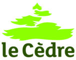 Le Cèdre